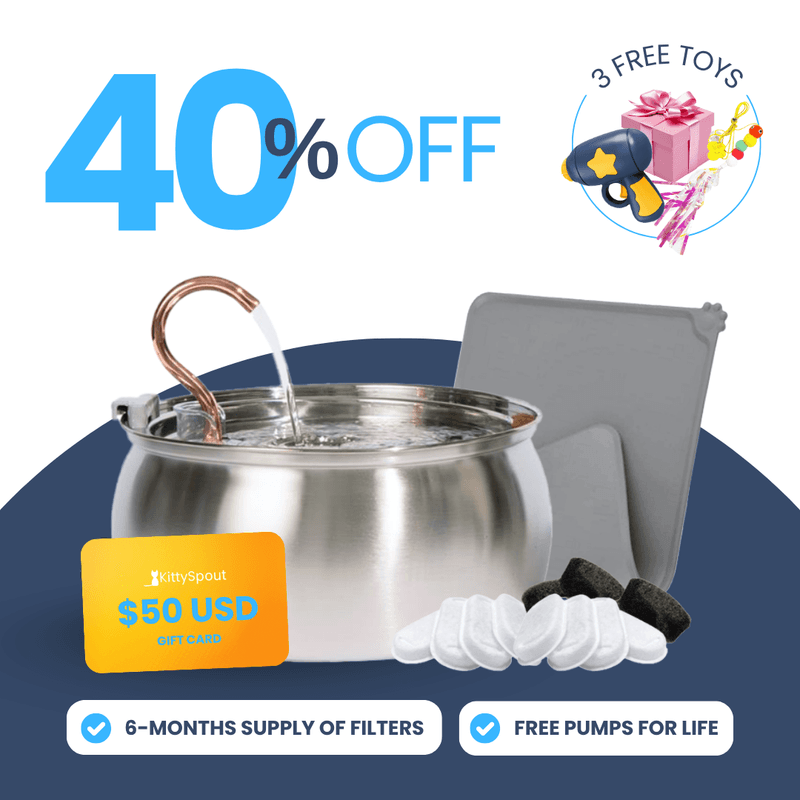 KittySpout Value Bundle