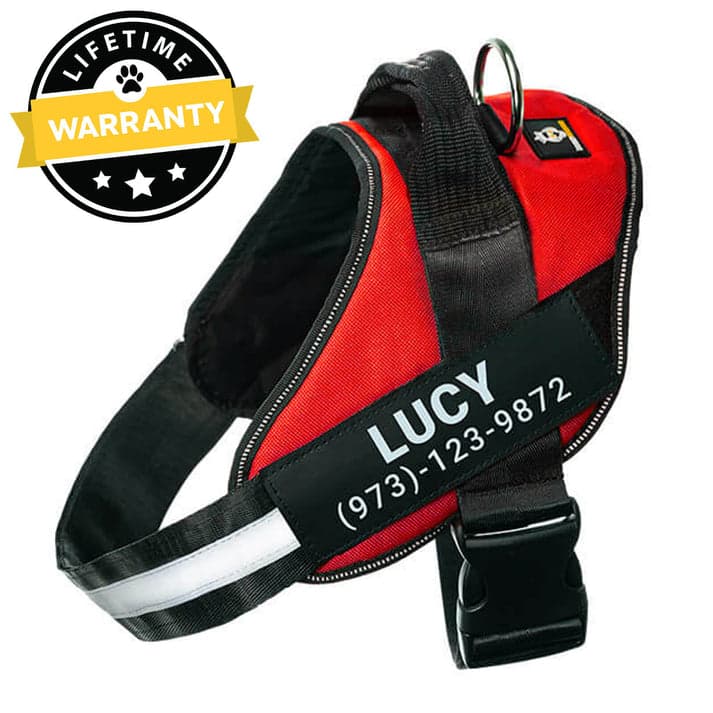 Personalized NO PULL Harness