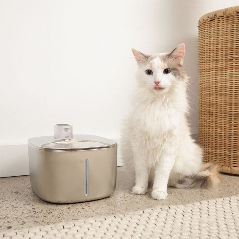 The KittySpout™ - 2.2L Fountain Health And Happiness Cat Kit